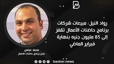 رواد النيل: مبيعات شركات برنامج حاضنات الأعمال تقفز إلى 85 مليون جنيه بنهاية فبراير الماضي