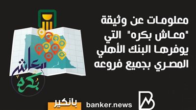 معلومات عن وثيقة 