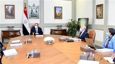 تكليف رئاسي بزيادة 117 مليار جنيه لمبادرة تمويل المشروعات الصغيرة والمتوسطة