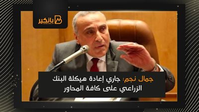 جمال نجم: جاري إعادة هيكلة البنك الزراعي على كافة المحاور
