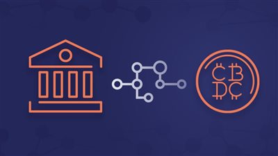 العملة الرقمية للبنك المركزي VS العملة المشفرة الخاصة.. المخاطر والفوائد