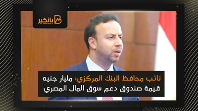 نائب محافظ البنك المركزي: مليار جنيه قيمة صندوق دعم سوق المال المصري