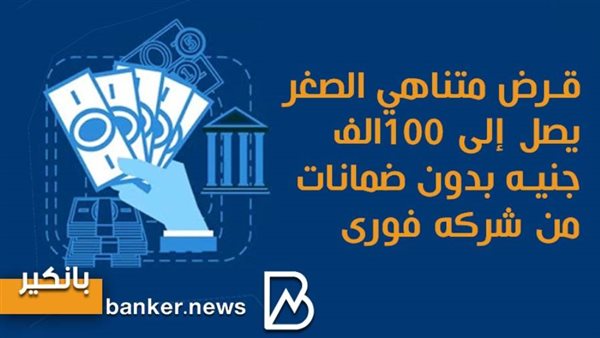 تمويلات متناهية الصغر