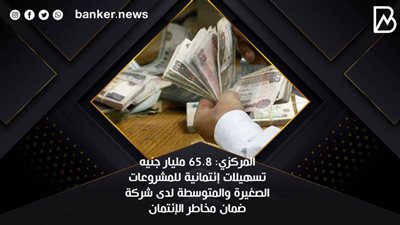 المركزي: 65.8 مليار جنيه تسهيلات إئتمانية للمشروعات الصغيرة والمتوسطة لدى شركة ضمان مخاطر الإئتمان
