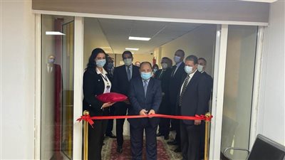 توفير حزمة من الخدمات التأمينية للمنظومات الحكومية المميكنة