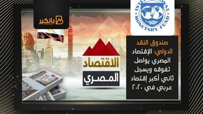 صندوق النقد الدولي: الإقتصاد المصري يواصل تفوقه ويسجل ثاني أكبر إقتصاد عربي في 2020