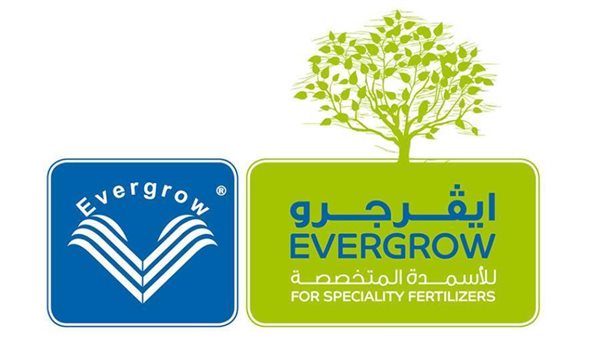 ايفرجرو