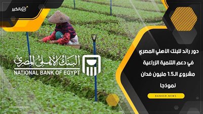 فيديو | دور رائد للبنك الأهلي المصري في دعم التنمية الزراعية.. مشروع الـ1.5 مليون فدان نموذجا