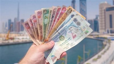 سعر صرف الدرهم الإماراتي مقابل الجنيه المصري اليوم الأحد 16-5-2021