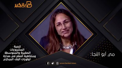 مي أبو النجا: تنمية المشروعات الصغيرة والمتوسطة ومتناهية الصغر في صدارة أولويات البنك المركزي