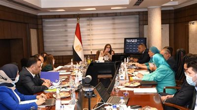 بحضور ممثلي البنك المركزي.. وزيرة التخطيط تبحث مع صندوق النقد الدولي نتائج مسح الدخل والانفاق