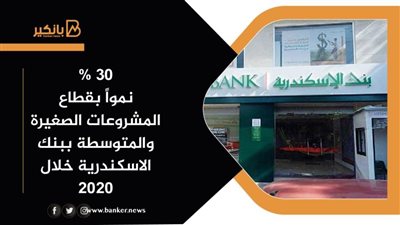 30% نمواً بقطاع المشروعات الصغيرة والمتوسطة ببنك الاسكندرية خلال 2020