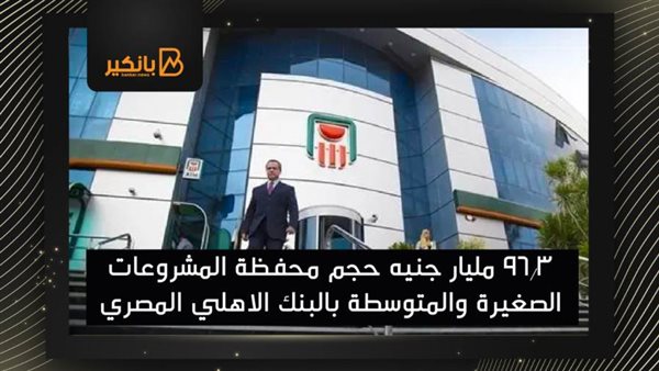 حجم محفظة المشروعات