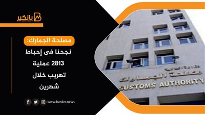 مصلحة الجمارك: نجحنا فى إحباط 2813 عملية تهريب خلال شهرين