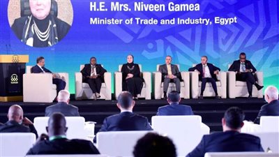 وزيرة التجارة: مصر حريصة على دعم جهود التنمية وتحقيق التكامل الاقتصادي الإقليمى بين أسواق إفريقيا