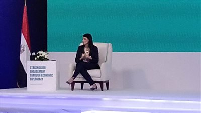 المشاط : 3.2 مليار دولار تمويلات القطاع الخاص  من شركاء التنمية في 2020