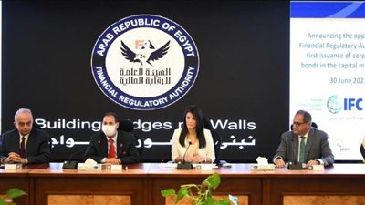 رئيس الرقابة المالية: إعفاء مصدري السندات الخضراء من 50% مقابل الخدمات والفحص