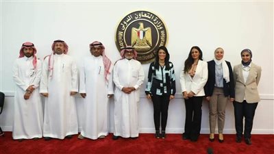 بقيمة 270 مليون جنيه.. 3 بنوك استفادت من منحة السعودية لتمويل المشروعات الصغيرة والمستشفيات