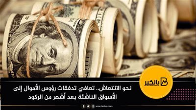نحو الانتعاش.. تعافي تدفقات رؤوس الأموال إلى الأسواق الناشئة بعد أشهر من الركود