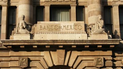 محافظ بنك المكسيك المركزي: الأسواق الناشئة تواجه مهمة صعبة في التعافي من الوباء