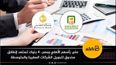 على رأسهم الأهلي ومصر.. ٤ بنوك تستعد لإطلاق صندوق لتمويل الشركات الصغيرة والمتوسطة