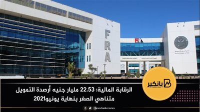 الرقابة المالية: 22.53 مليار جنيه أرصدة التمويل متناهي الصغر بنهاية يونيو2021
