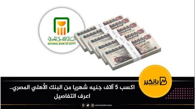 اكسب 5 آلاف جنيه شهريا من البنك الأهلي المصري.. اعرف التفاصيل