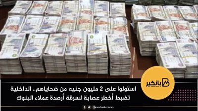 استولوا على 2 مليون جنيه من ضحاياهم.. الداخلية تضبط أخطر عصابة لسرقة أرصدة عملاء البنوك