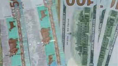  سعر الدولار مقابل الجنيه السوداني في البنك المركزي والسوق السوداء اليوم الثلاثاء 31/ 8 /2021 