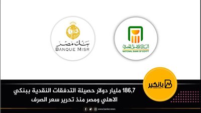  186,7 مليار دولار حصيلة التدفقات النقدية ببنكي الاهلي ومصر منذ تحرير سعر الصرف