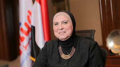 بحضور ممثلي البنك المركزي.. وزيرة الصناعة تؤكد ضرورة تعزيز التبادل التجاري مع الدول الأفريقية