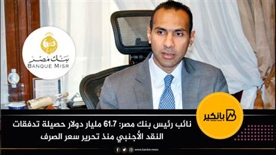 نائب رئيس بنك مصر: 61.7 مليار دولار حصيلة تدفقات النقد الأجنبي منذ تحرير سعر الصرف