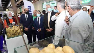 بمشاركة البنوك.. افتتاح المعرض الزراعي الدولي 