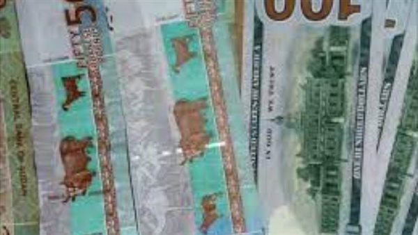 الجنيه السوداني