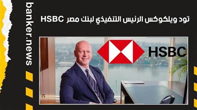 بنك HSBC مصر يطلق منصة Evolve للشركات لتنفيذ معاملات التداول بالعملات الأجنبية