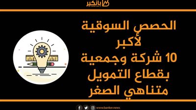 انفوجرافيك | الحصص السوقية لأكبر 10 شركة وجمعية بقطاع التمويل متناهي الصغر