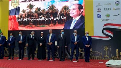 وزيرة الصناعة: مصر الأولى عالميا فى إنتاج التمور.. وجاري الإعداد للمهرجان الخامس بأسوان