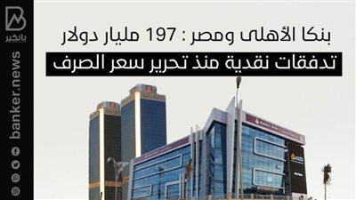 بنكا الأهلى ومصر : 197 مليار دولار تدفقات نقدية منذ تحرير سعر الصرف