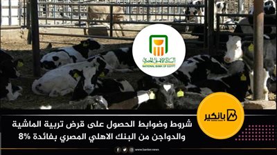شروط وضوابط الحصول على قرض تربية الماشية والدواجن من البنك الاهلي المصري بفائدة 8%