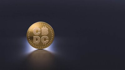 مسئولوا البنوك المركزية يؤكدون ضرورة عدم الإسراع في إصدار العملات الرقمية CBDC