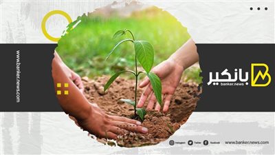 كيف يعيد التمويل الأخضر تشكيل الصناعة المصرفية؟