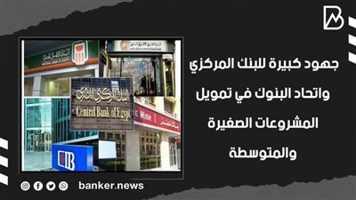 جهود كبيرة للبنك المركزي واتحاد البنوك في تمويل المشروعات الصغيرة والمتوسطة | فيديو