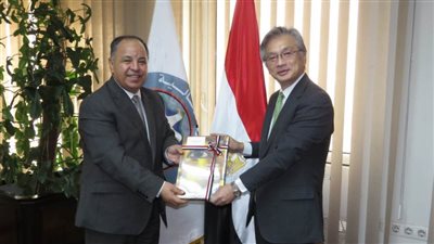 وزير المالية: لدينا فرص واعدة للاستثمار في تصنيع السيارات الكهربائية