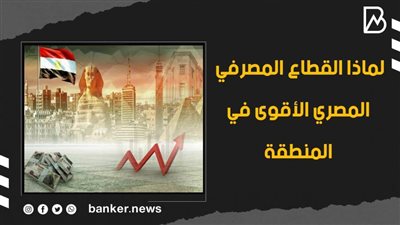 لماذا القطاع المصرفي المصري الأقوى في المنطقة| فيديو