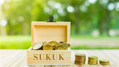 باكستان تجمع مليار دولار من طرح صكوك بأعلى عائد 7.95%