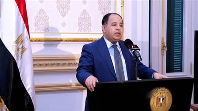 وزير المالية: مصر تمضي بنجاح في مسيرة التحول نحو الاقتصاد الرقمي