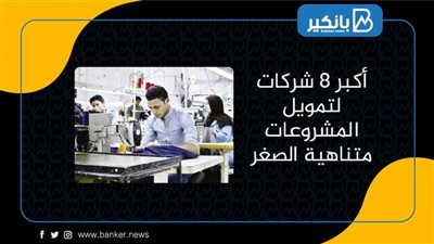 أكبر 8 شركات لتمويل المشروعات متناهية الصغر| انفوجرافيك