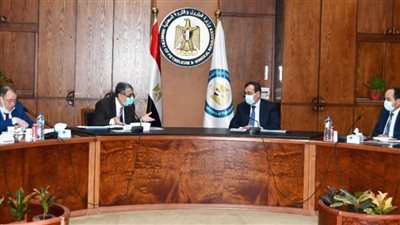 وزيري البترول والكهرباء يبحثان توفير احتياجات محطات توليد الكهرباء من الغاز الطبيعي والوقود