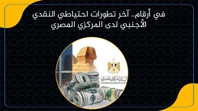 في أرقام.. آخر تطورات احتياطي النقدي الأجنبي لدى المركزي المصري| انفوجرافيك 