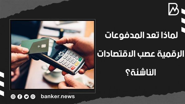 المدفوعات الرقمية